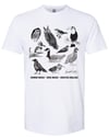 Englenz Bird Shirt