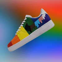 Out N Proud Custom Air Force One