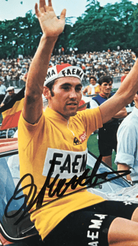 Image 4 of Eddy Merckx - 1969 Tour de France / Handsigned postcard