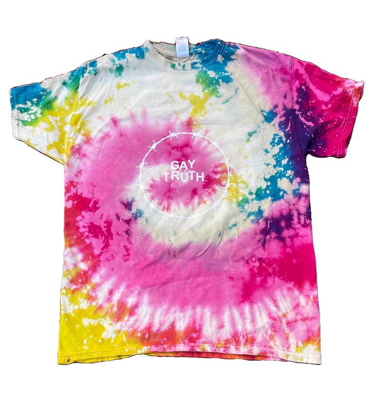 RAINBOW GAY TRUTH SHIRT