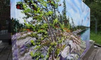 Image 3 of - Along The Bay -