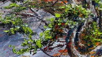Image 2 of - Along The Bay -