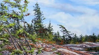 Image 4 of - Along The Bay -