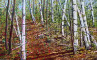 Image 1 of - Walk Through The Birch -