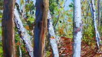 Image 2 of - Walk Through The Birch -