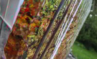 Image 3 of - Walk Through The Birch -