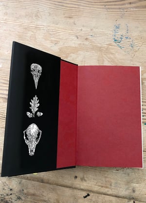 Image of 'Seek The Throat From Which We Sing' hardback by Alex CF