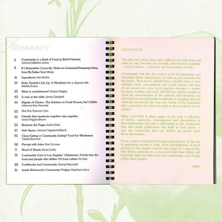 FILLER ISSUE 06 Image 2