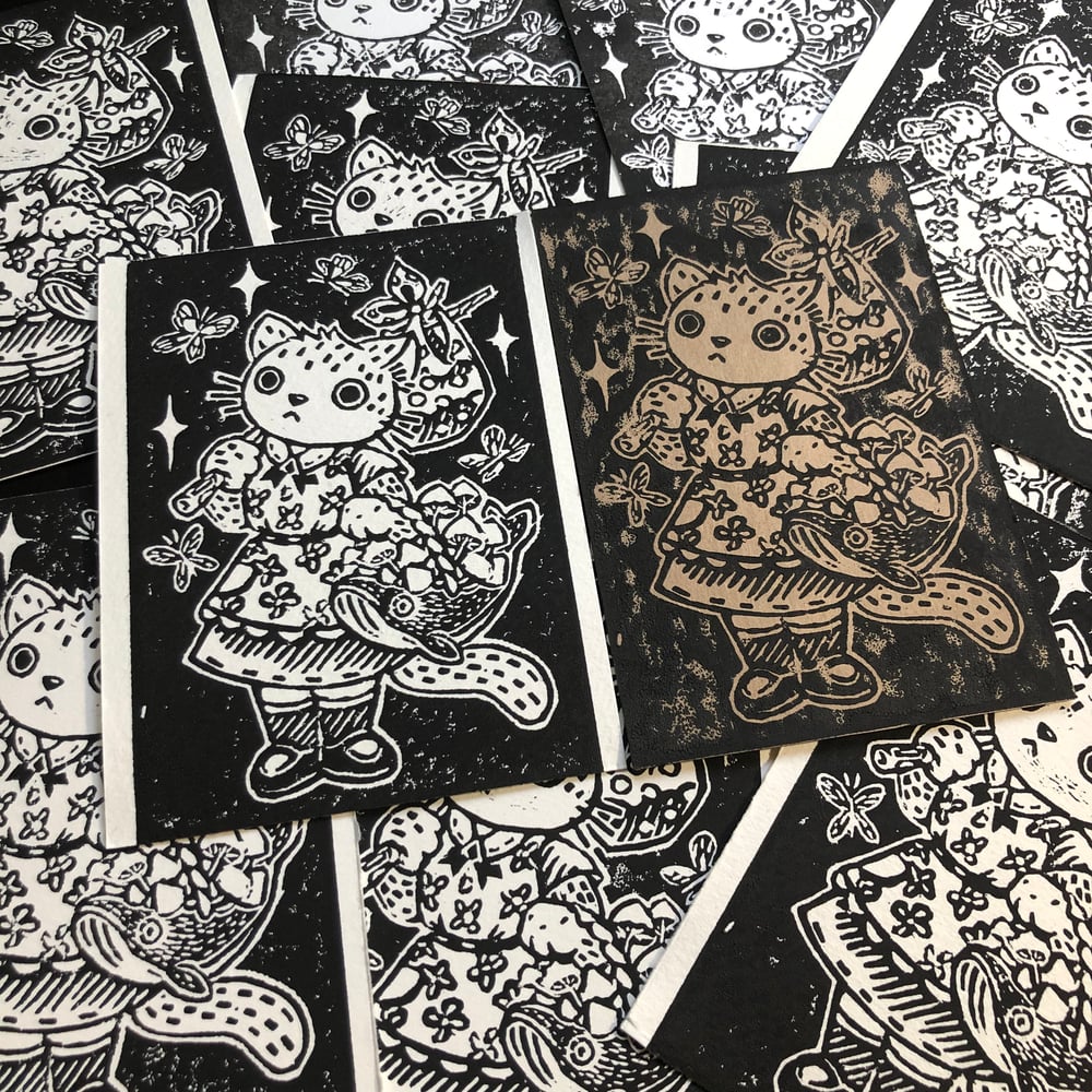 Image of Foraging Kitten