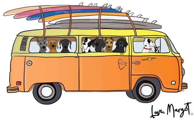 Great Danes in a Groovy VW Bus