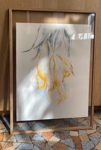 Image 3 of Tulips