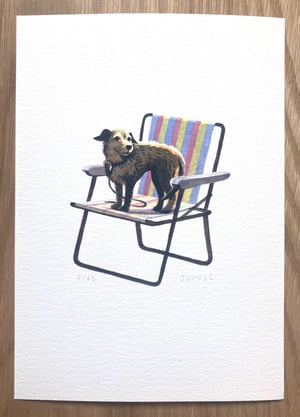 Image of Deck Chair Dog