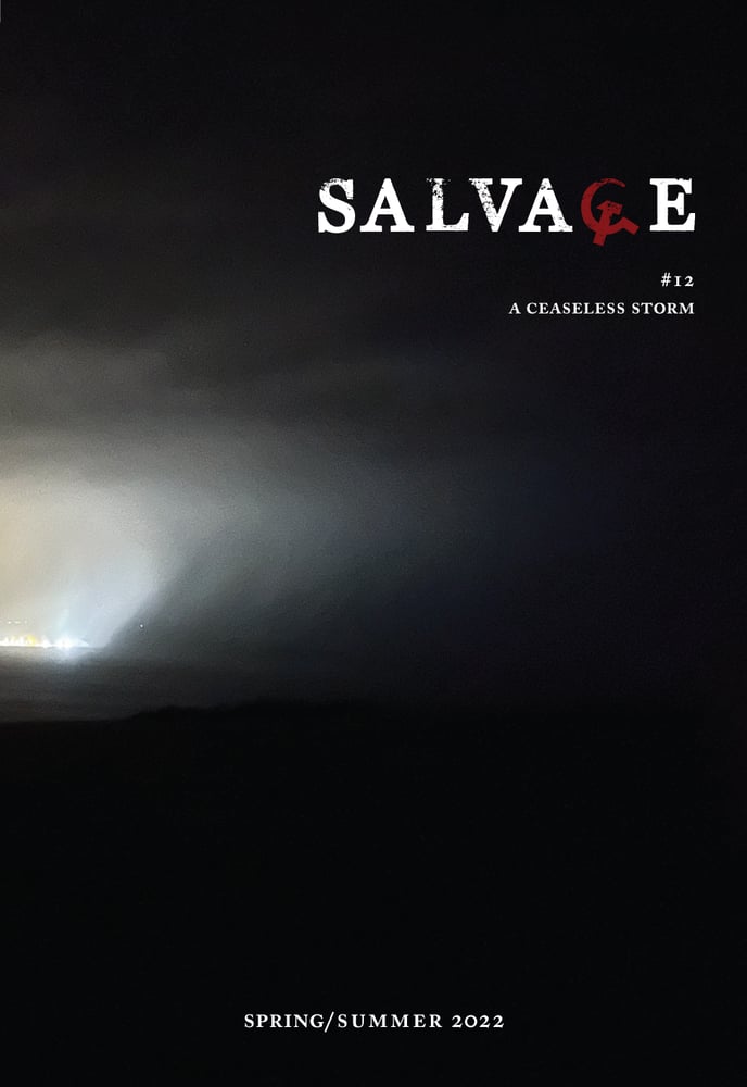 Image of Salvage #12: A Ceaseless Storm 