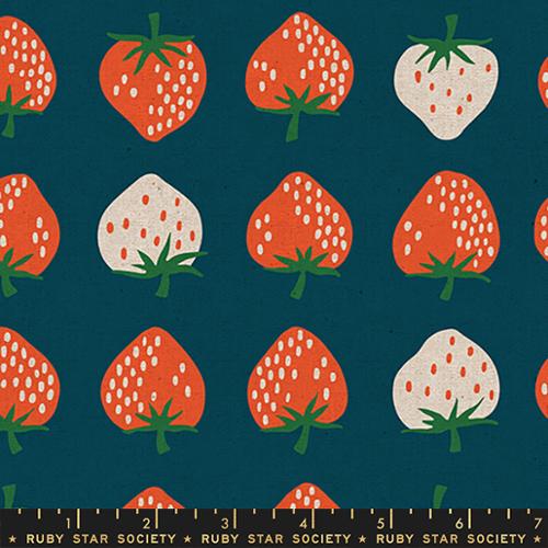 Image of Strawberry & Friends CANVAS Strawberry Novelty Food Fruit Kitchen Blue