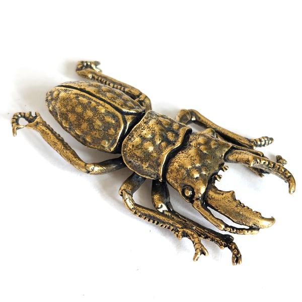 Image of Stag Beetle - Brass Insect Ornament
