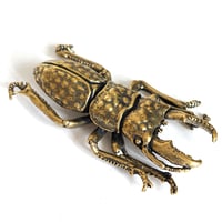 Image 1 of Stag Beetle - Brass Insect Ornament