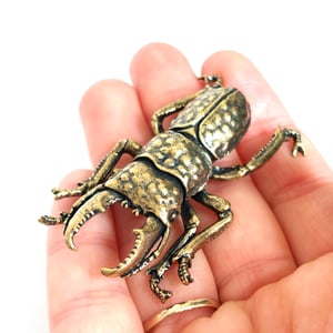 Image of Stag Beetle - Brass Insect Ornament