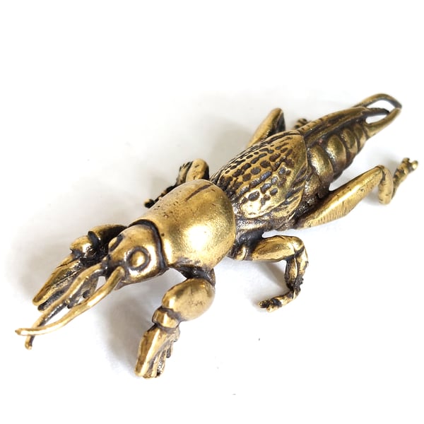 Image of Mole Cricket - Brass Insect Ornament