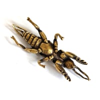 Image 2 of Mole Cricket - Brass Insect Ornament
