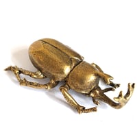 Image 1 of Japanese Rhino Beetle - Miniature Brass Insect Ornament