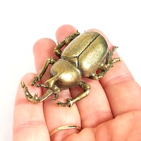 Image 3 of Japanese Rhino Beetle - Miniature Brass Insect Ornament