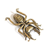 Image 2 of Stag Beetle - Brass Insect Ornament