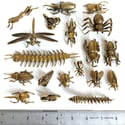 Scarab - Miniature Brass Insect Ornament