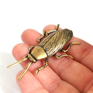 Image of Cockroach - Brass Insect Ornament