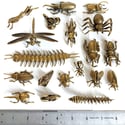 Grasshopper - Miniature Brass Insect Ornament