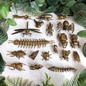 Grasshopper - Miniature Brass Insect Ornament