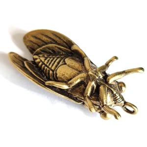 Image of Cicada - Miniature Brass Insect Ornament