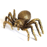 Image 1 of Tarantula - Brass Insect Ornament