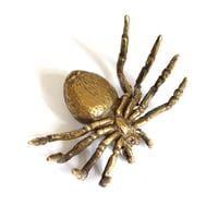 Image 2 of Tarantula - Brass Insect Ornament