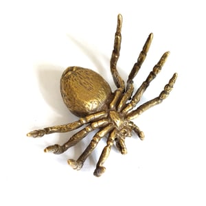 Image of Tarantula - Brass Insect Ornament