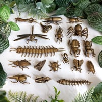 Image 5 of Tarantula - Brass Insect Ornament