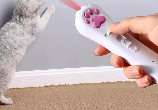 Cute 6-in-1 Laser Pointer Toy