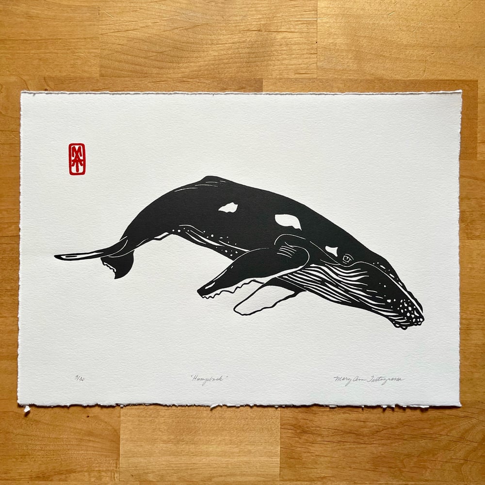 Image of Humpback - Black