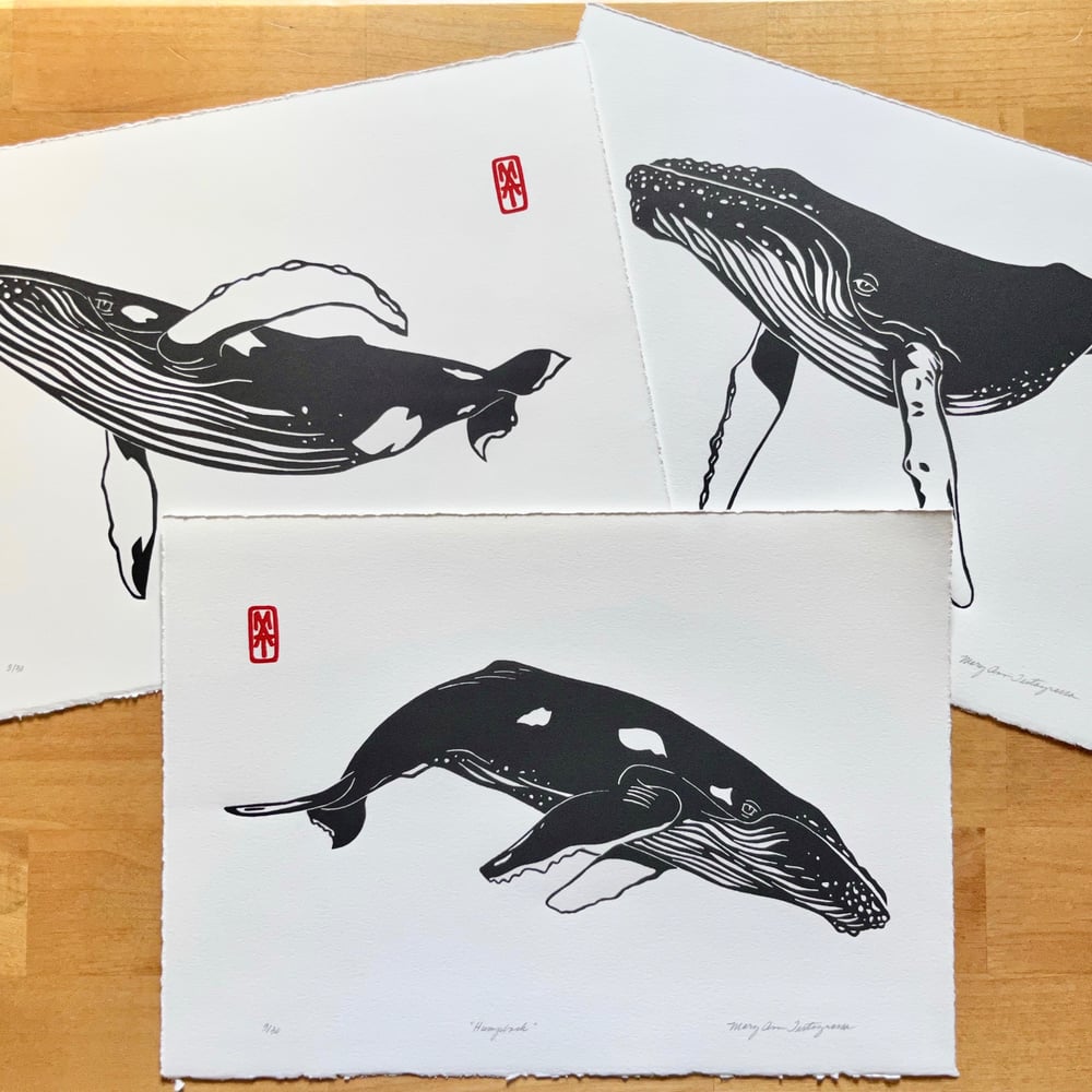 Image of Humpback - Black