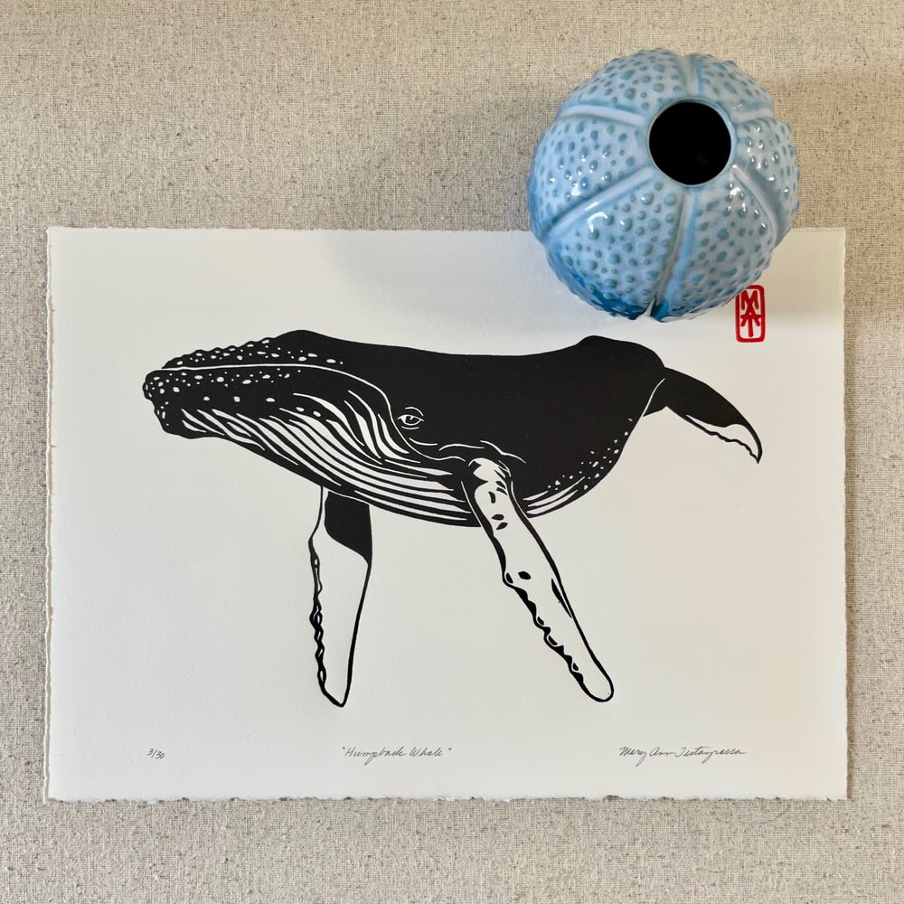 Image of Humpback Whale - Black