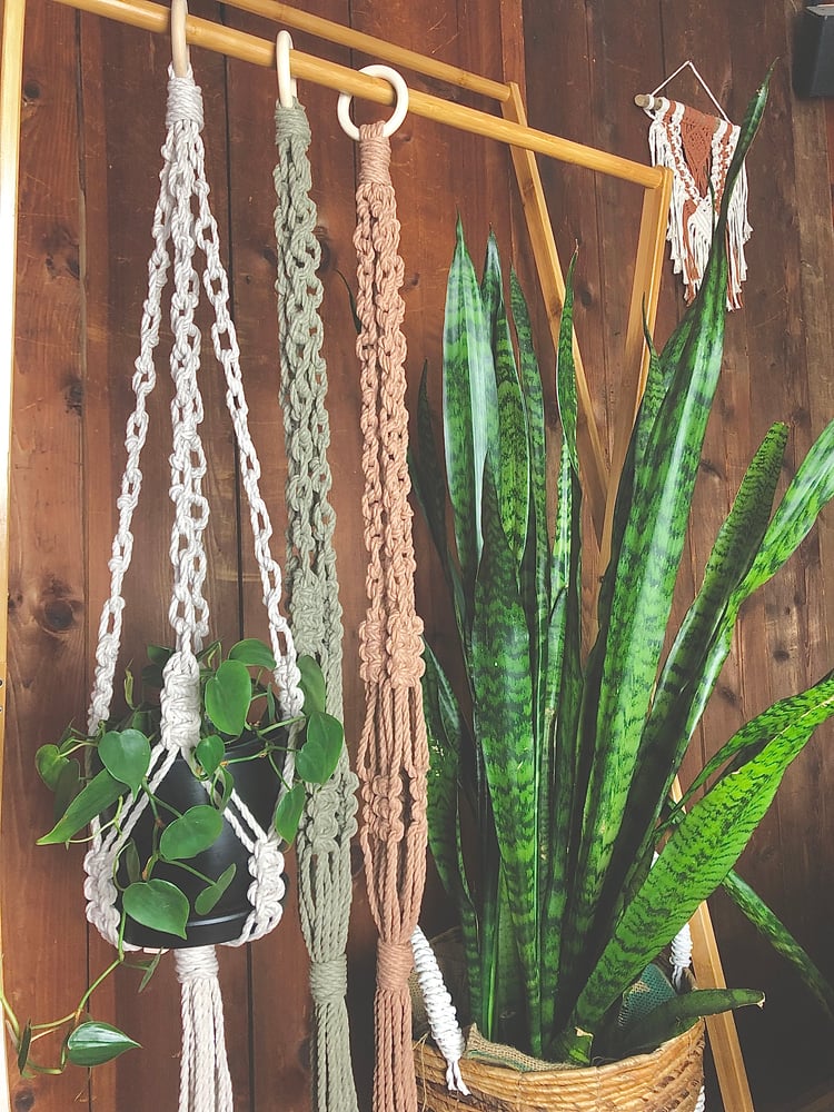 Image of Plant Chains 