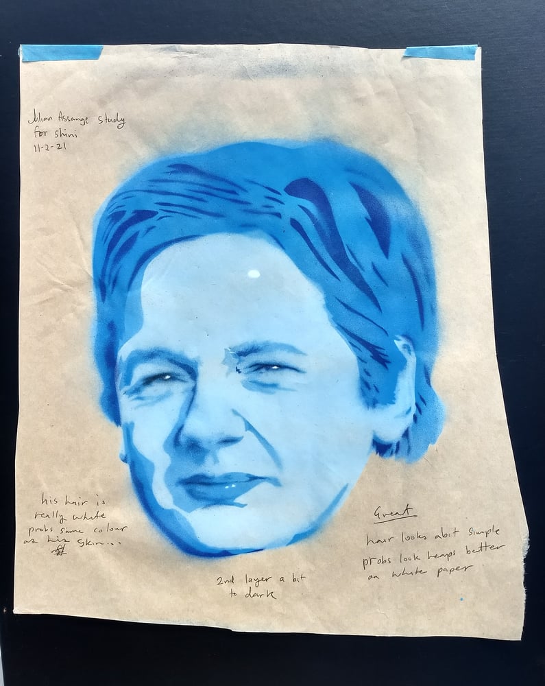 Image of Study of Julian Assange 