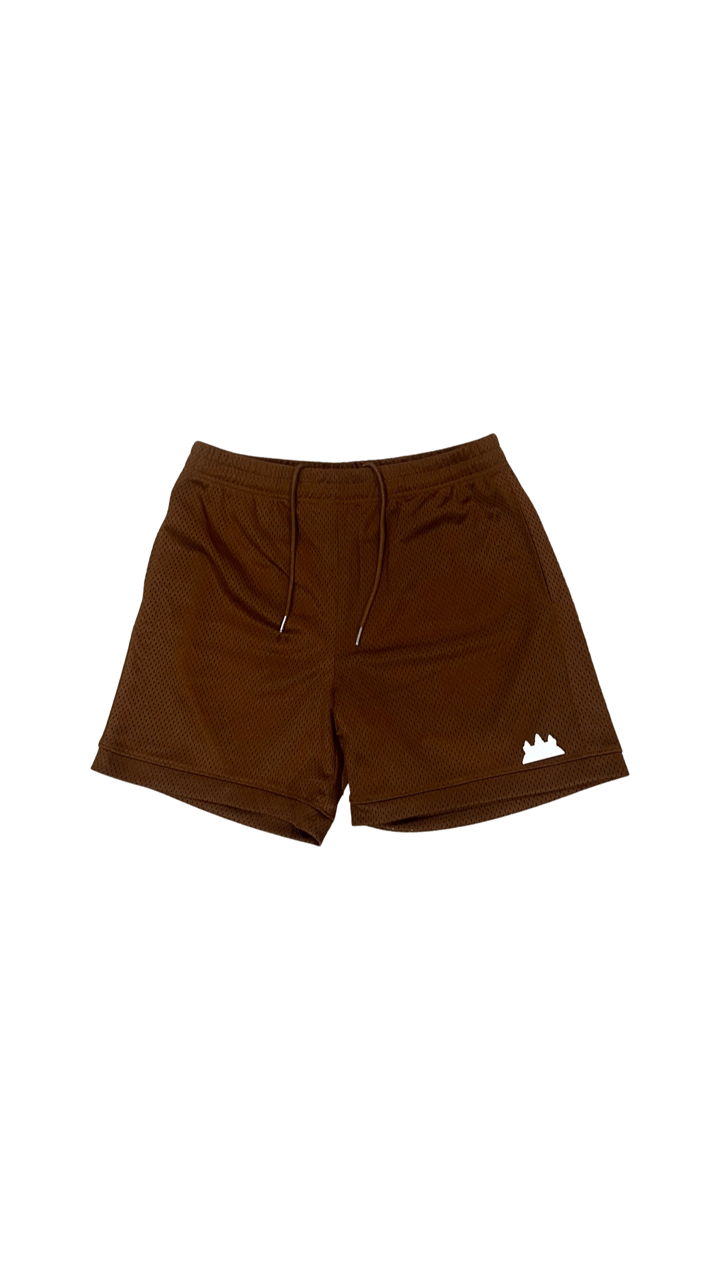 Image of Premium Fashionable Basketball Shorts (Mesh)