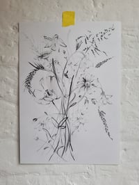 Image 2 of Oxeye daisies study