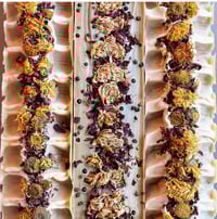 Image 3 of S E L V A