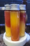Sea Moss Gel: 5-Day Variety Pack