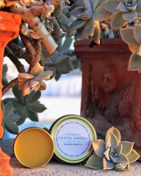 Image 1 of HEALING SALVE/ POMADA PARA PIEL SENSIBLE