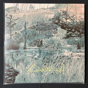 Image of Rigorous Institution - Cainsmarsh LP