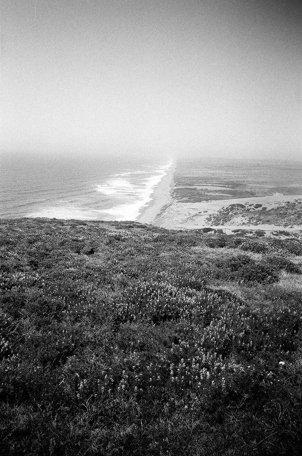 Image of Point Reyes