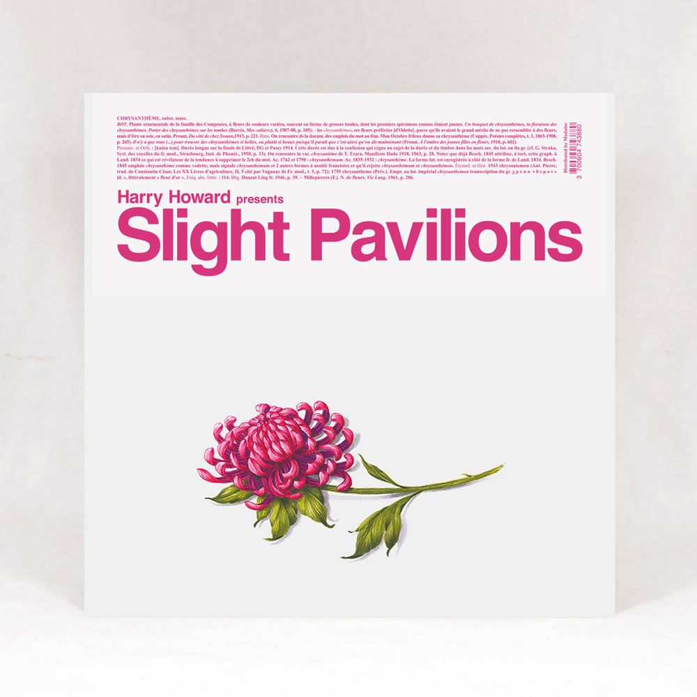Image of Harry Howard presents / Slight Pavilions (Vinyl) 