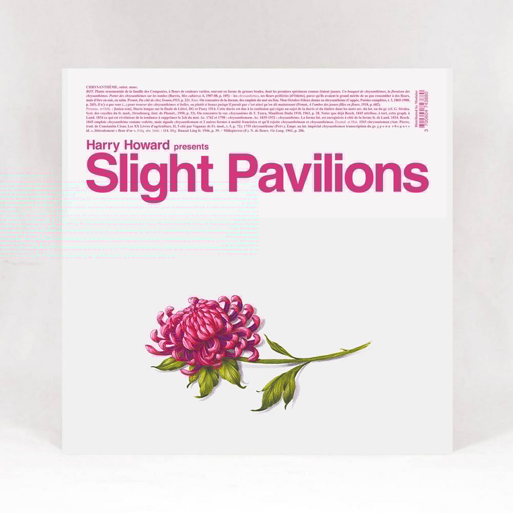 Image of Harry Howard presents / Slight Pavilions (Vinyl)